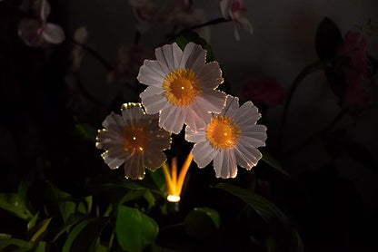 EpicGadget Solar Garden Flowers Solar Lights - Outdoor LED Waterproof Flowers Garden Decorative Stake Light for Walkway Pathway Backyard Christmas Decoration Parties (2 Pieces) (Warm White)
