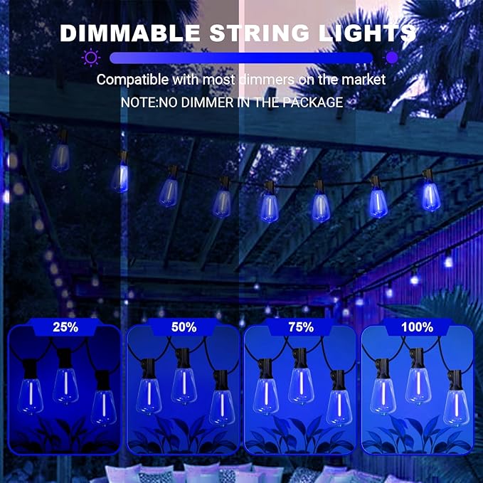 LAMPHOME 26Ft ST38 Outdoor String Lights, Blue Patio Lights with 12+1 ST38 Edison Bulbs, LED Shatterproof String | Lumora