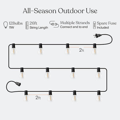 Brightech Bundle: Ambience Pro Waterproof LED Outdoor String Lights - 26 Ft 12 Bulbs, 1W Vintage Edison, Warm White Black + Outdoor Dimmer Plug