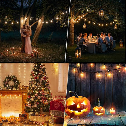 25FT G40 LED String Lights with 12 Plastic Edison Bulbs(2 Spare), Outdoor/Indoor Waterproof Lights for Patio, Garden, Wedding, Party, Festival Decoration