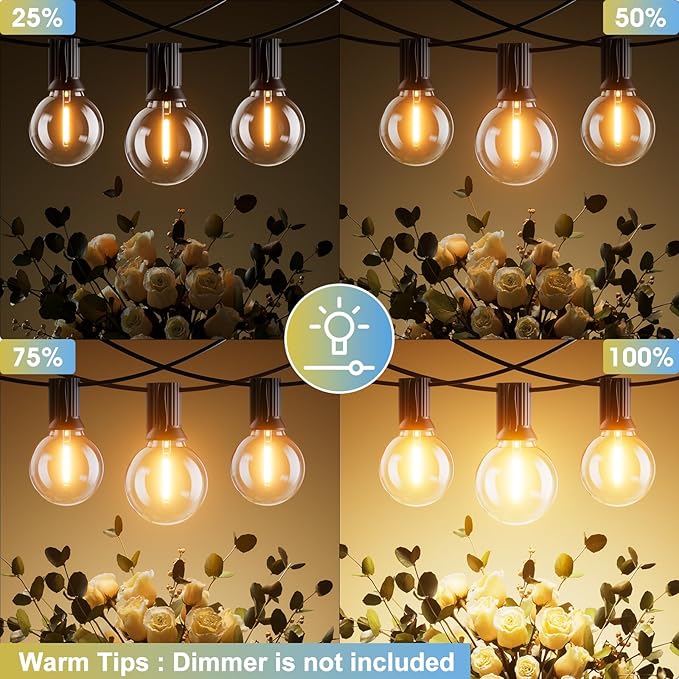 Bomcosy CA 25FT G40 LED Globe String Lights Black | Lumora