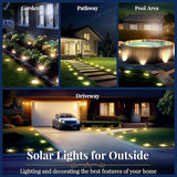 SOLPEX Solar Ground Lights, 12 Pack Solar Lights Outdoor Waterproof, 8 LED Solar Powered Landscape Lighting for | Lumora