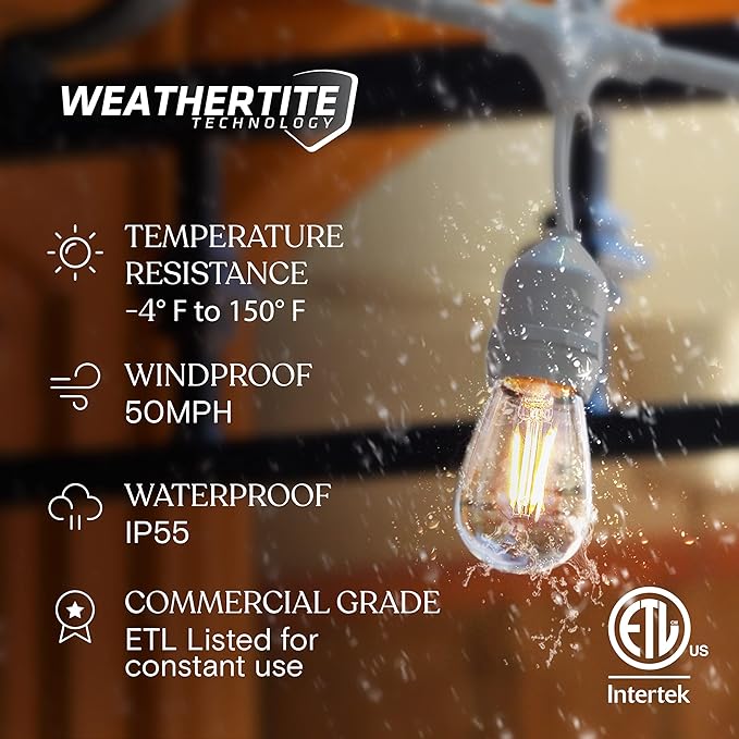 Brightech Bundle: Ambience Pro Waterproof LED Outdoor String Lights - Hanging, Dimmable 2W Vintage Edison Bulbs - White + Outdoor Dimmer Plug
