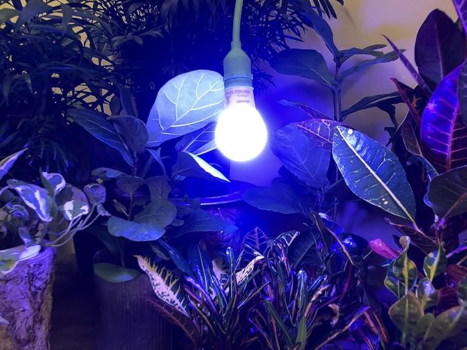 Grow Light A19 9W LED Blue Spectrum Hi-Growth Supplement | Lumora