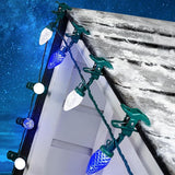 C9 LED Christmas Lights Outdoor with 50 Spring Clips, 50ft 50 LED Waterproof Strawberry String Lights, Commercial | Lumora