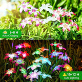 Solar Lights Outdoor Garden Decor, 6 Pack of 24 Lily Flowers Solar Lights, 7 Color Changing Solar Flowers Outdoor | Lumora