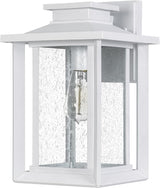 Quoizel Wakefield Vintage Wall Sconce, Coastal Armour 14 Inch 1-Light Matte White Wall Lantern, Clear Seedy Glass | Lumora