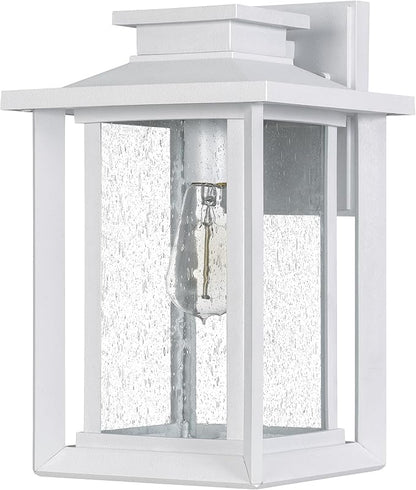 Quoizel Wakefield Vintage Wall Sconce, Coastal Armour 14 Inch 1-Light Matte White Wall Lantern, Clear Seedy Glass Light Fixtures, 100W Medium Base Bulb, Outside Lights for Patio, Porch or Garage