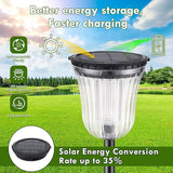 Solar Pathway Lights Super Bright 200 lumens with 2-in-1 Warm White and Daylight Modes, Solar Lights Outdoor | Lumora