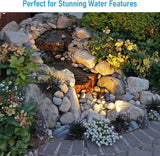 LEONLITE 5CCT LED Rock Lights Outdoor, 5W Low Voltage Landscape Spotlight for Garden, Yard, Decorative Stone Light | Lumora