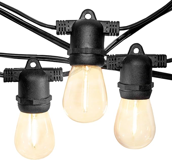 Hometown Evolution, Inc. 100' E26 Commercial LED Outdoor String Lights (100 Foot 50 Socket, S14 LED Filament 1 Watt | Lumora