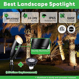 Landscape Spotlights, Black Low Voltage LED Outdoor Lighting, IP65 Waterproof Aluminum uplight for Yard House Porch | Lumora