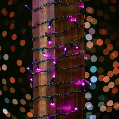 Novelty Lights 25ft 50 LED Pink Christmas Lights Outdoor/Indoor, 6" Spacing, Green Wire String Lights for Festive Xmas Lighting, IP55, UL Listed, Dimmable, Connectable