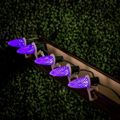 Novelty Lights 25PK C9 LED Faceted Ultra Bright Dimmable Outdoor Christmas Light Replacement Bulbs, LED Bulbs (Purple)