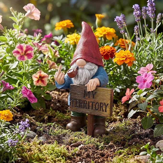 Lavezee Funny Garden Gnome, Middle Finger Gnomes Statue with Solar Lighted Sign – “My Territory” for Patio Backyard Porch Outdoor, Humorous Housewarming Birthday Gifts for Men Dad Husband