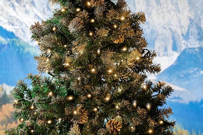 Novelty Lights 25ft 50 LED Warm White Christmas Lights Outdoor/Indoor, 6" Spacing, Green Wire String Lights for | Lumora