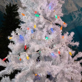 Novelty 24FT 70 LED C6 LED Christmas String Lights, Multicolor Commercial Grade Outdoor Tree Decorations | Lumora