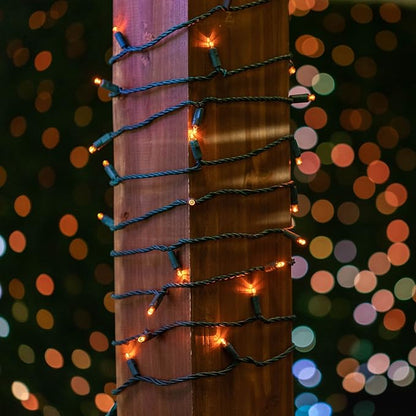 Novelty Lights 25ft 50 LED Amber Christmas Lights Outdoor/Indoor, 6" Spacing, Green Wire String Lights for Festive Xmas Lighting, IP55, UL Listed, Dimmable, Connectable