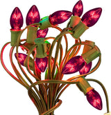 EST. LEE DISPLAY L D 1902 C7 Purple Christmas Lights, Transparent Candelabra Steady Bulbs, Indoor ＆ Outdoor String | Lumora