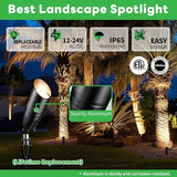 Landscape Spotlights, Black Low Voltage LED Outdoor Lighting, IP65 Waterproof Aluminum uplight for Yard House Porch | Lumora