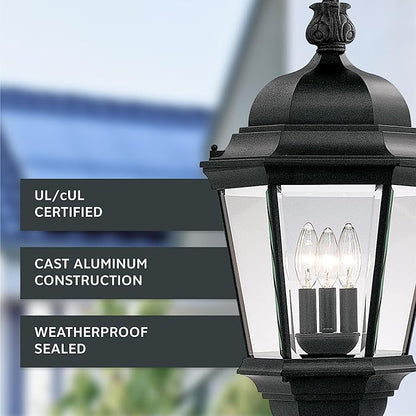 Designers Fountain 2952-BK Value Collection Wall Lanterns, Black