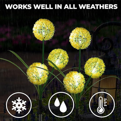 Solar Garden Lights Decorative Dandelion with 36 Colorful LED for Christmas Decor - IP65 Waterproof Solar Lights Outdoor (2-Pack)