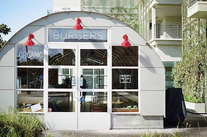 Steel Lighting Co. Venice Store Sign Light | for Outdoor Restaurant Accent Wall | 9 inch Dome | Upward Sloping Gooseneck | Made in America | Dark Bronze Exterior/Brass Interior