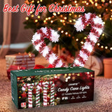 10 Pack Christmas Candy Cane Lights, 15 inch Tinsel Christmas Candy Cane Pathway Lights with 8 Modes & Timer for | Lumora