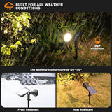 Solar Lights Outdoor, 2-in-1 Decorative Solar Landscape Lighting for Outside, IP67 Waterproof Garden Light Pathway | Lumora