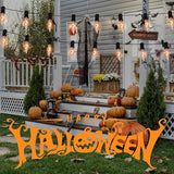 10 FT Flickering Flame Light String, C18 Halloween Decoration Light String, with 10 Clear Flame Bulbs, for Outdoor | Lumora