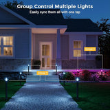 XMCOSY+ Smart Solar Pathway Lights, Bluetooth APP Control with Motion Sensor, 150LM RGBCW Color Changing Landscape | Lumora