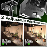 Anordsem Solar Spot Lights Outdoor: 1000mAh+ABS Waterproof Case 4 Pack - 2 Warm Light Modes for Yard Garden Path | Lumora