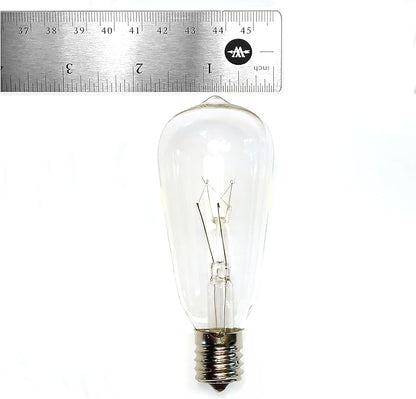 Hometown Evolution, Inc. Vintage Edison Outdoor String Lights (ST40 Clear - Black Wire, 10 ft)
