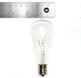 Hometown Evolution, Inc. Vintage Edison Outdoor String Lights (ST40 Clear - White Wire, 100 ft) | Lumora