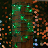 Novelty Lights 24-Pack, 25 Feet 50 LED Green Christmas Mini Light String on Green Wire, 5mm Wide Angle Bulbs | Lumora