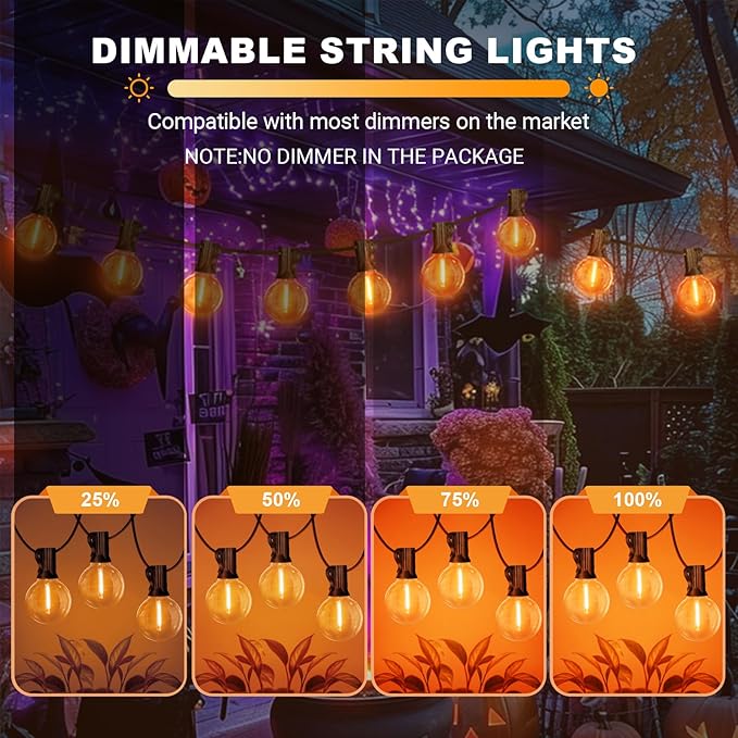 LAMPHOME Globe Outdoor Halloween String Lights, 26FT Patio Lights with 12+1Edison Shatterproof Bulbs(1Spare) | Lumora