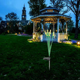 Solar Powered Garden Stake Lights Outdoor Waterproof Solar Lawn Pathway Lighting Decorative for Patio Yard | Lumora