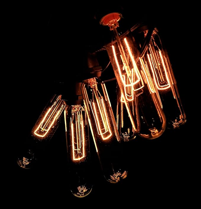 Hometown Evolution, Inc. Commercial Edison Bulb Outdoor String Lights with Hand-Threaded Filament (T25 Tube Edison - Commercial Black Wire, 25 ft)