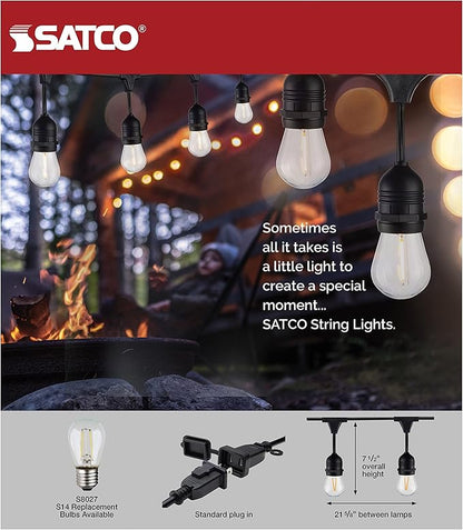 Satco S8030 LED Indoor/Outdoor String Lights, Black, S14 Bulbs, 24 Feet (Pack of 1)