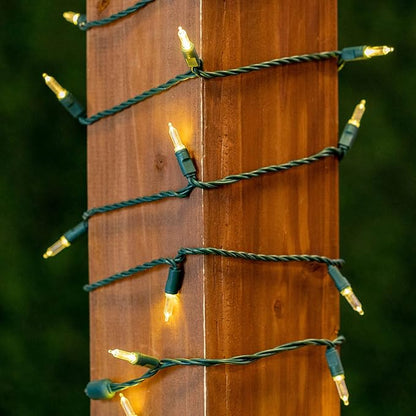 Novelty Lights Vintage Style T5 Warm White LED Christmas Lights, 11.5 Feet Green Wire String of 35 Mini Bulbs, UL Listed Indoor/Outdoor Tree Lighting