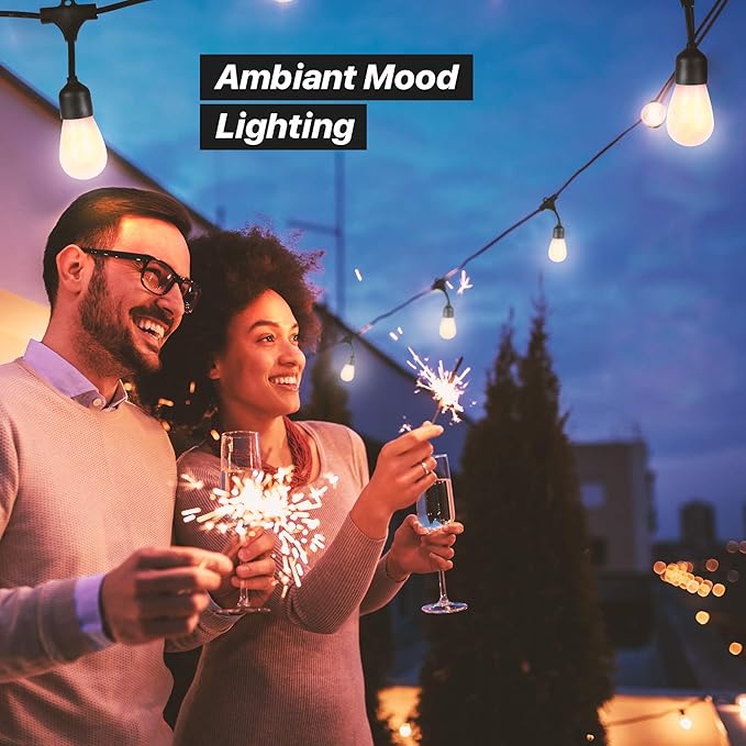 Brightech Ambience Pro Solar Powered LED Outdoor String Lights - 27 Ft Commercial Waterproof Patio Lights with Flaming, Flickering Bulbs - Shatterproof String Lights for Halloween, Porch, Deck