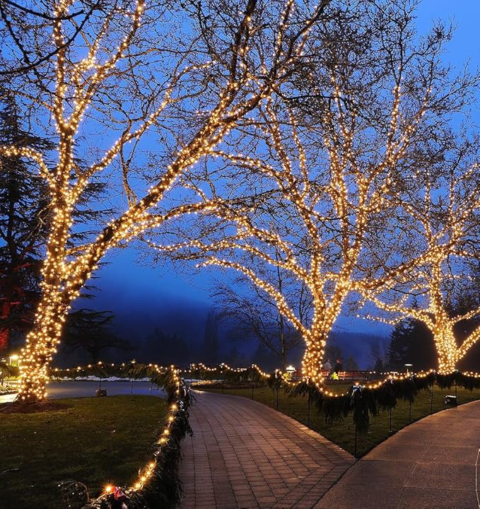 100 Warm White Wide Angle LED Mini Lights on Brown Wire – 50 Ft Commercial Grade Christmas String Lights, Full Wave | Lumora