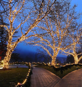 100 Warm White Wide Angle LED Mini Lights on Brown Wire – 50 Ft Commercial Grade Christmas String Lights, Full Wave | Lumora