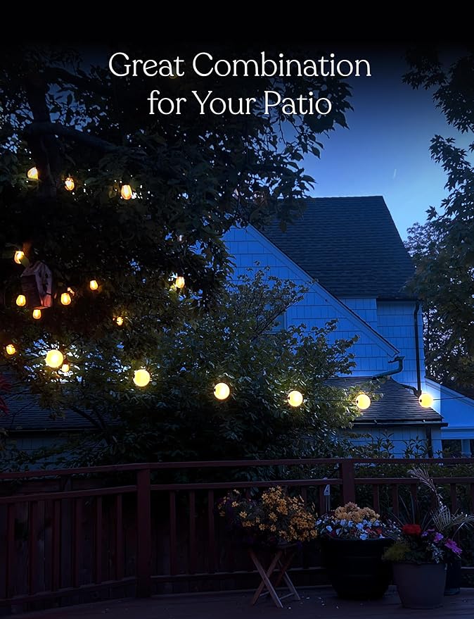 Brightech Orb Outdoor Indoor String Lights - Frosted Lantern LED String with 10 Weatherproof Globe Lights - Plug in Commercial Grade Light Strand for Patio, Porch, Garden, Café - 30 Ft, Black