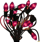 EST. LEE DISPLAY L D 1902 C7 Purple Christmas Lights, Transparent Candelabra Steady Bulbs, Indoor ＆ Outdoor String | Lumora