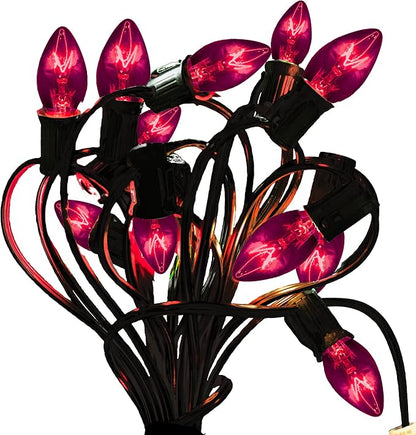EST. LEE DISPLAY L D 1902 C7 Purple Christmas Lights, Transparent Candelabra Steady Bulbs, Indoor ＆ Outdoor String Light Replacement Bulbs, 7-Watt, C-7, E12, 1 Box of 25