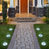 SOLPEX 24 Pack Solar Outdoor Lights,12 Pack Step Light,12 Pack Ground Light,Waterproof Solar Lights for | Lumora