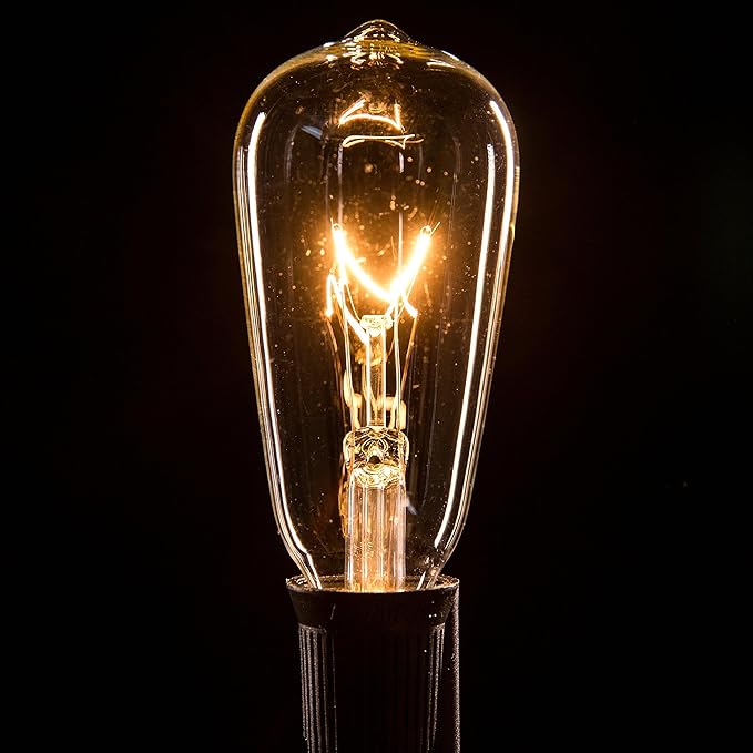 Hometown Evolution, Inc. Vintage Edison Outdoor String Lights (ST40 Clear - Black Wire, 25 ft) | Lumora