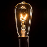 Hometown Evolution, Inc. Vintage Edison Outdoor String Lights (ST40 Clear - Black Wire, 25 ft) | Lumora