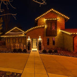 Novelty Lights 250CT Faceted Ultra Bright Dimmable Outdoor Christmas Replacement Bulbs - Decorative LED Christmas | Lumora